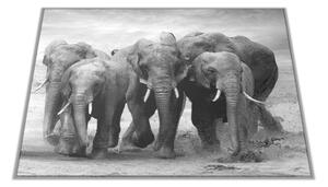 Skleněné prkénko stádo slonů - 30x20cm