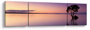 Obraz vodní hladiny při východu slunce (170x50 cm)
