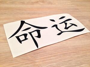 Čínské písmo Osud arch 100 x 49 cm
