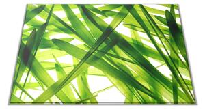 Skleněné prkénko detail listy trávy abstrakt - 30x20cm