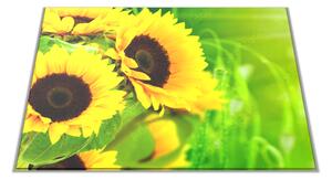 Skleněné prkénko květy slunečnice na zeleném - 30x20cm