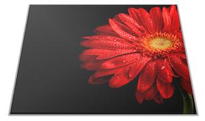 Skleněné prkénko červený květ gerbery - 30x20cm
