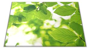 Skleněné prkénko zelené listí buku - 30x20cm