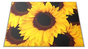 Skleněné prkénko květy slunečnice - 30x20cm