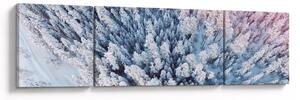 Obraz zasněžených stromů (170x50 cm)