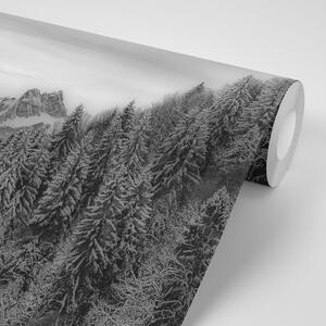 Samolepící fototapeta černobílé zmrzlé hory