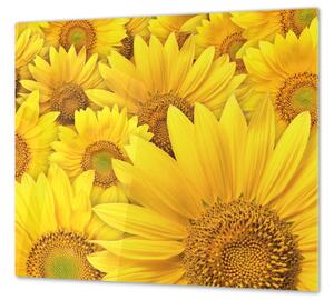 Ochranná deska žluté květy slunečnice - 52x60cm / S lepením na zeď
