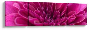 Obraz květiny (170x50 cm)