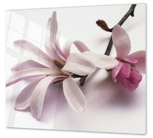 Ochranná deska květ magnolie - 52x60cm / Bez lepení na zeď