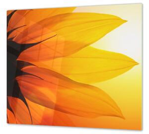 Ochranná deska malovaný detail květ slunečnice - 50x70cm / S lepením na zeď