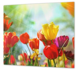 Ochranná deska barevné tulipány - 52x60cm / S lepením na zeď