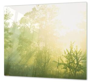 Ochranná deska stromy ve východu slunce - 52x60cm / S lepením na zeď