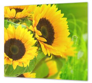 Ochranná deska květy slunečnice na zeleném - 52x60cm / S lepením na zeď