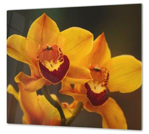 Ochranná deska květy sytě žluté orchideje - 52x60cm / S lepením na zeď