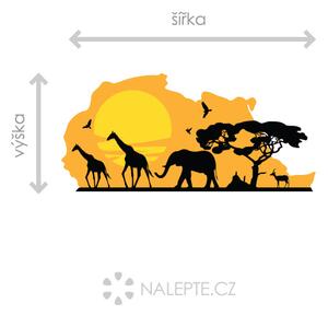 Afrika 48 x 22 cm