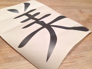 Čínské znaky krása arch 40 x 45 cm