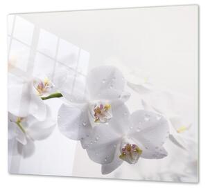 Ochranná deska květy bílá orchidej - 52x60cm / S lepením na zeď