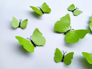 3D dekorace motýli zelená se vzorkem 12 ks 12 x 10 cm