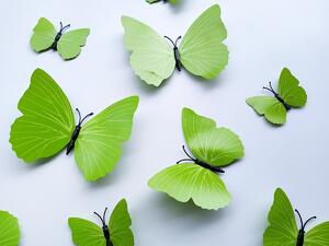 3D dekorace motýli zelená se vzorkem 12 ks 12 x 10 cm