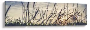 Obraz lučního kvítí (170x50 cm)