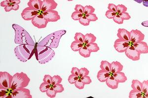 Motýli kolibříci a květy 100 x 40 cm