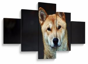 Obraz psa (125x70 cm)