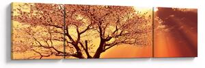 Obraz paprsků Boha (170x50 cm)