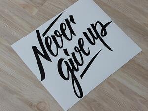 Never give up 50 x 41 cm
