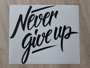 Never give up 75 x 62 cm