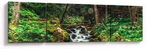 Obraz potoku v lese (170x50 cm)