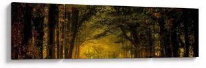 Obraz lesu (170x50 cm)
