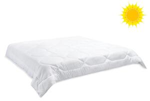 Brotex Přikrývka Luxus plus 200x200cm letní 600g (150g / m2)