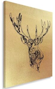 Obraz na plátně Zlatě kolorovaná kreslená hlava jelena Velikost: 40 x 60 cm, Provedení: Obraz na plátně