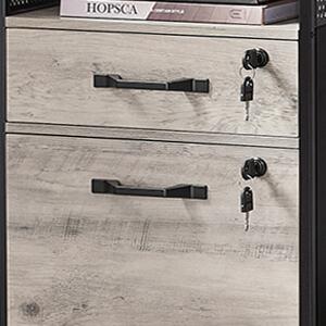 SONGMICS Kancelářský kontejner Vasagle File šedo-hnědý/černý