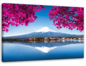Obraz na plátně Hora Fuji, jezero a růžové listy Rozměry: 60 x 40 cm