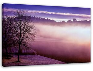 Obraz na plátně Mlha nad jezerem Rozměry: 60 x 40 cm