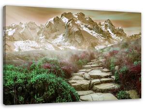 Obraz na plátně Kamenná cesta na vrchol Rozměry: 60 x 40 cm