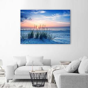 Obraz na plátně Trávy na pláži Rozměry: 60 x 40 cm