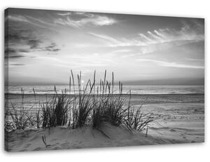 Obraz na plátně Trávy na pláži - černobílý Rozměry: 60 x 40 cm