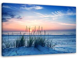 Obraz na plátně Trávy na pláži Rozměry: 60 x 40 cm