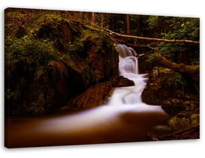 Obraz na plátně Pohádkový vodopád Rozměry: 60 x 40 cm