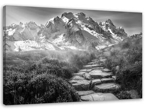 Obraz na plátně Kamenná cesta na vrchol - černobílý Rozměry: 60 x 40 cm