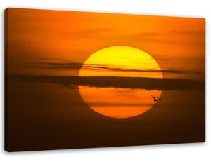 Obraz na plátně Západ slunce Rozměry: 60 x 40 cm