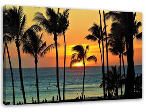 Obraz na plátně Palmy při západu slunce Rozměry: 60 x 40 cm