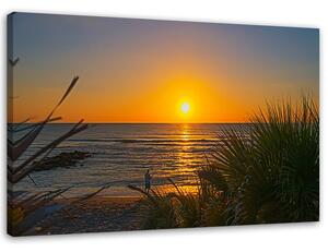 Obraz na plátně Rybář a západ slunce Rozměry: 60 x 40 cm