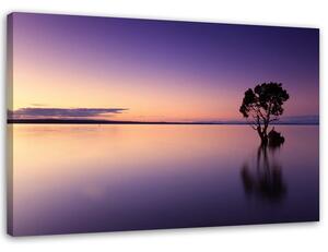 Obraz na plátně Osamělý strom na jezeře Rozměry: 60 x 40 cm