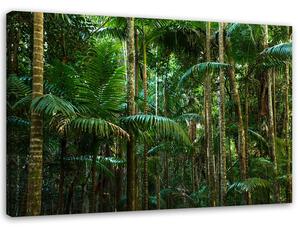 Obraz na plátně Zelené palmy Rozměry: 60 x 40 cm