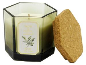 ROURA Sage & Olive Vonná svíčka, 180 g
