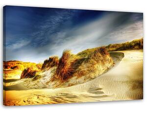 Obraz na plátně Duny Rozměry: 60 x 40 cm