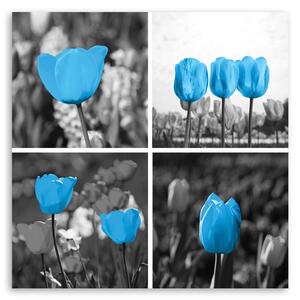 Obraz na plátně Sada modrých tulipánů Rozměry: 30 x 30 cm